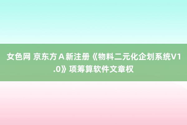 女色网 京东方Ａ新注册《物料二元化企划系统V1.0》项筹算软件文章权