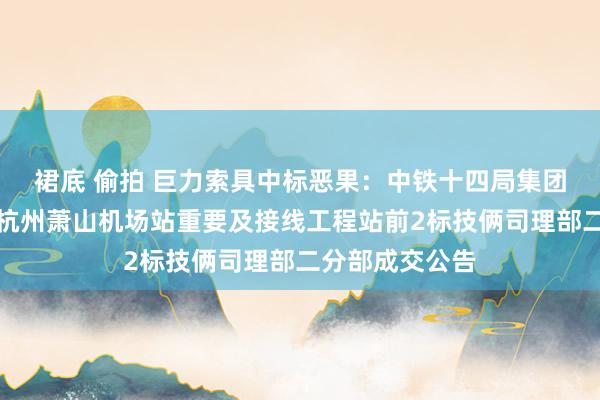 裙底 偷拍 巨力索具中标恶果：中铁十四局集团有限公司铁路杭州萧山机场站重要及接线工程站前2标技俩司理部二分部成交公告