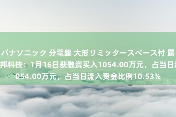 パナソニック 分電盤 大形リミッタースペース付 露出・半埋込両用形 捷邦科技：1月16日获融资买入1054.00万元，占当日流入资金比例10.53%