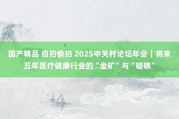 国产精品 自拍偷拍 2025中关村论坛年会｜将来五年医疗健康行业的“金矿”与“暗礁”